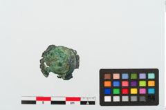 Foto von Bronzehelmnietknauf (NHMW-PRAE-025106)